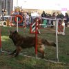 foire-haricots 2011-09-17et18